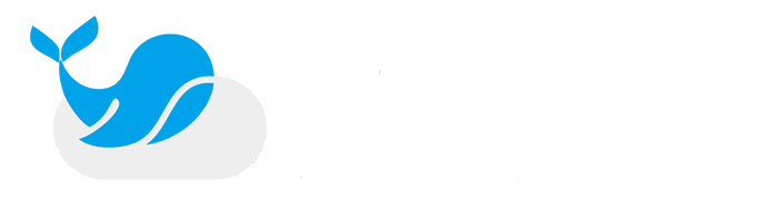 鲸跃云
